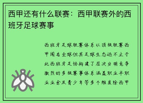 西甲还有什么联赛：西甲联赛外的西班牙足球赛事